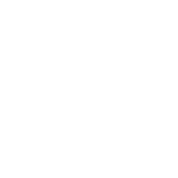 MiSvi